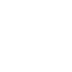 ANTE logo