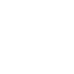 APT logo