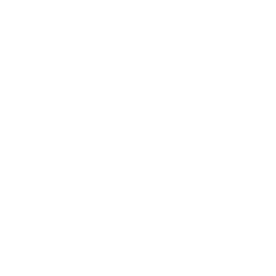 AVA logo