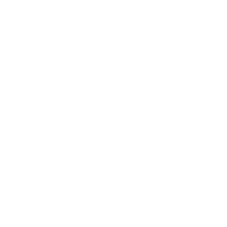 BIRK logo