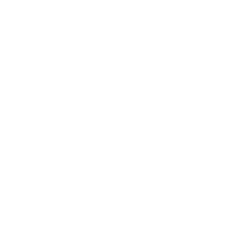 CINT logo