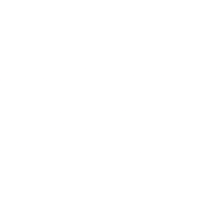 DGII logo