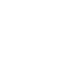 DLO logo