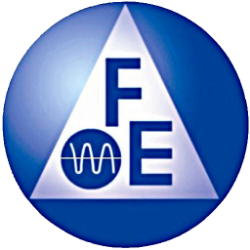 FEIM logo