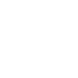 FGI logo