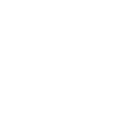 LION logo