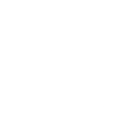 MEI logo