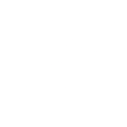 MTZ logo