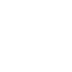 NTRS logo