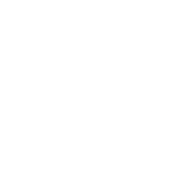NTZ logo