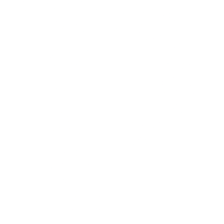 PERI logo