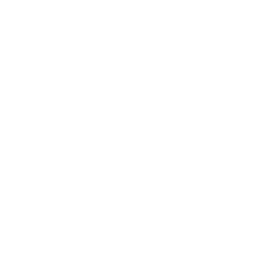 RLX logo