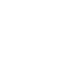 STM logo