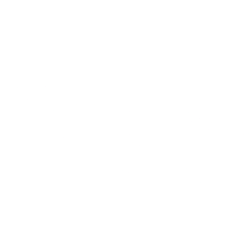 TXNM logo