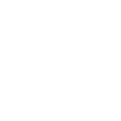 VERI logo