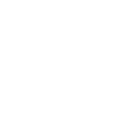 VSME logo