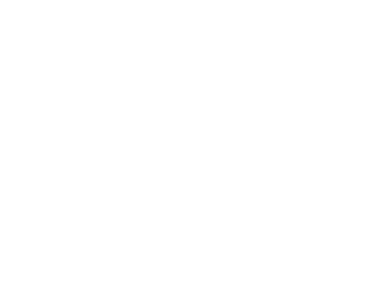 VST logo