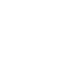XXII logo