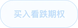 买入看跌策略标签