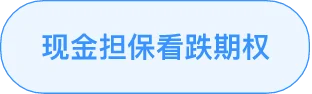 现金担保看跌策略标签