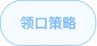 领式策略标签