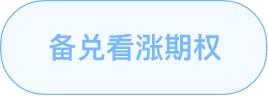 备兑看涨策略标签