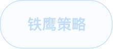 铁鹰式策略标签