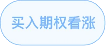 买入看涨策略标签