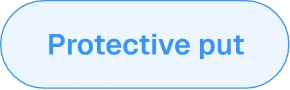 Protective put strategy tag