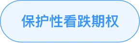 保护性看跌策略标签