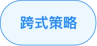 跨式策略标签