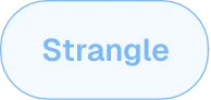 Strangle strategy tag